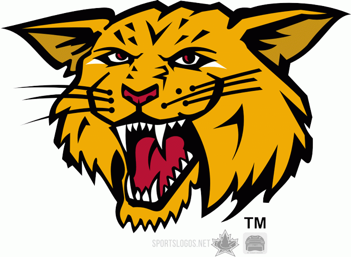 moncton wildcats 2003-2009 alternate logo iron on transfers for T-shirts